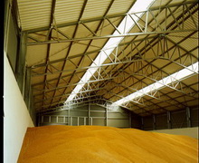 До Єгипту поставляється понад 12% від загального експорту української пшениці та олійних